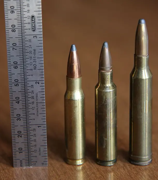 Top [2] Best Vortex Scopes For 7mm » [7mm Rem Mag Scopes]