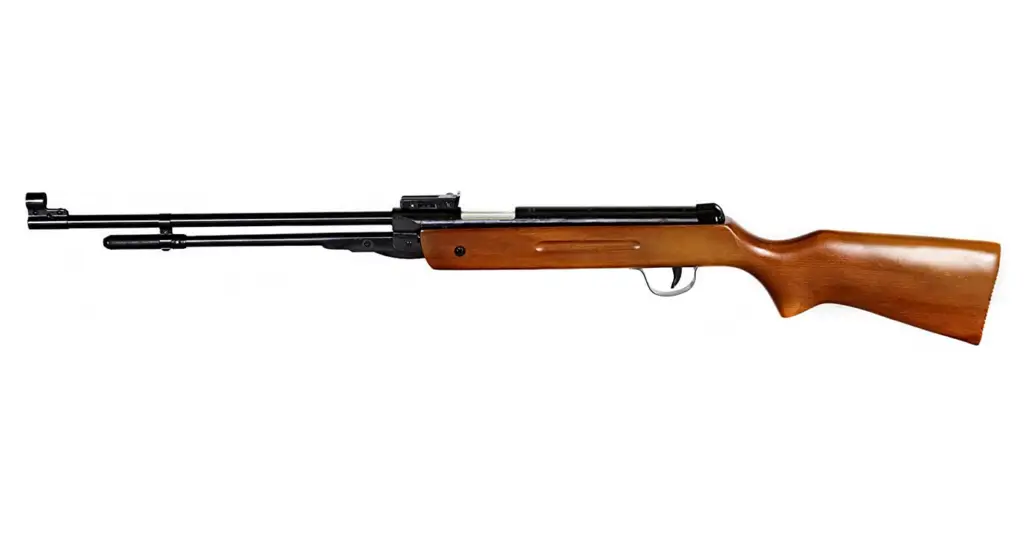 Top 10+ Best Pellet Guns For Killing Squirrels » [ Best Air Rifle