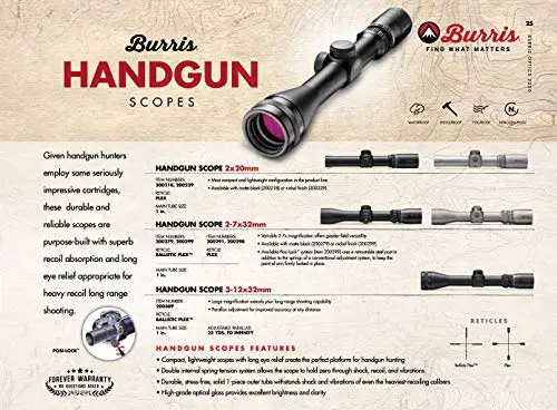 Burris 2x20 Handgun Scope Review