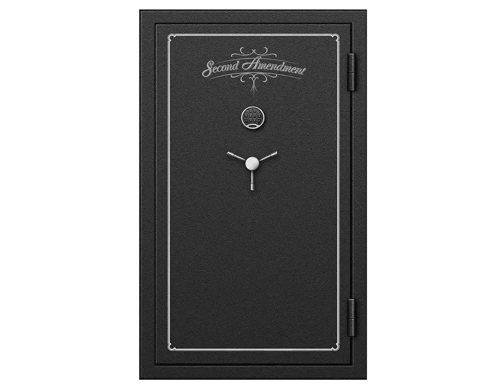 Blue Dot Safes Second Amendment Fire-Resistant Gun Safe