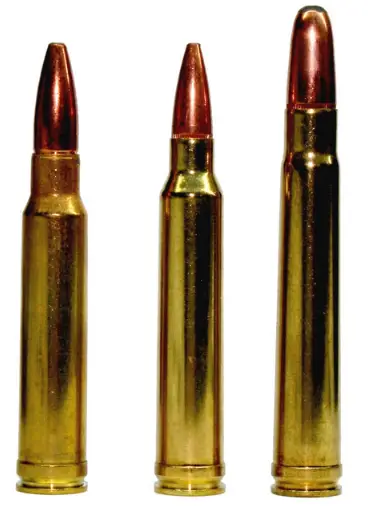 best ammo for 300 win mag